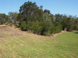 Marsh Escarpment 2015