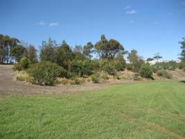 Marsh EScarpment 2010