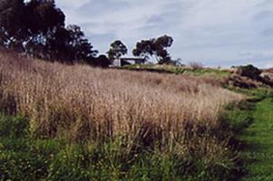 Marsh Escarpment 2003