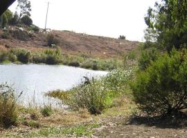 Memorial Riparian 2008